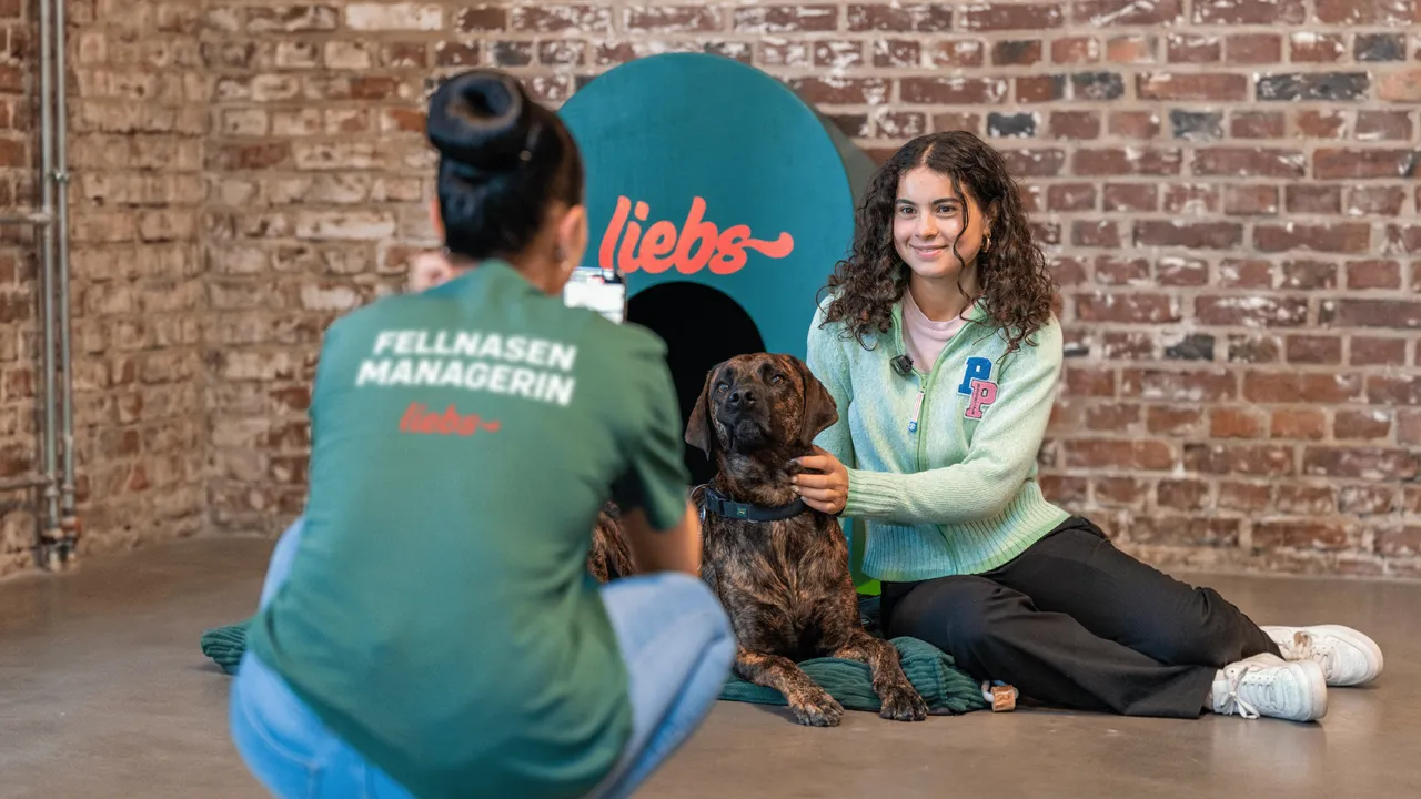 Image of Schach zu Dritt