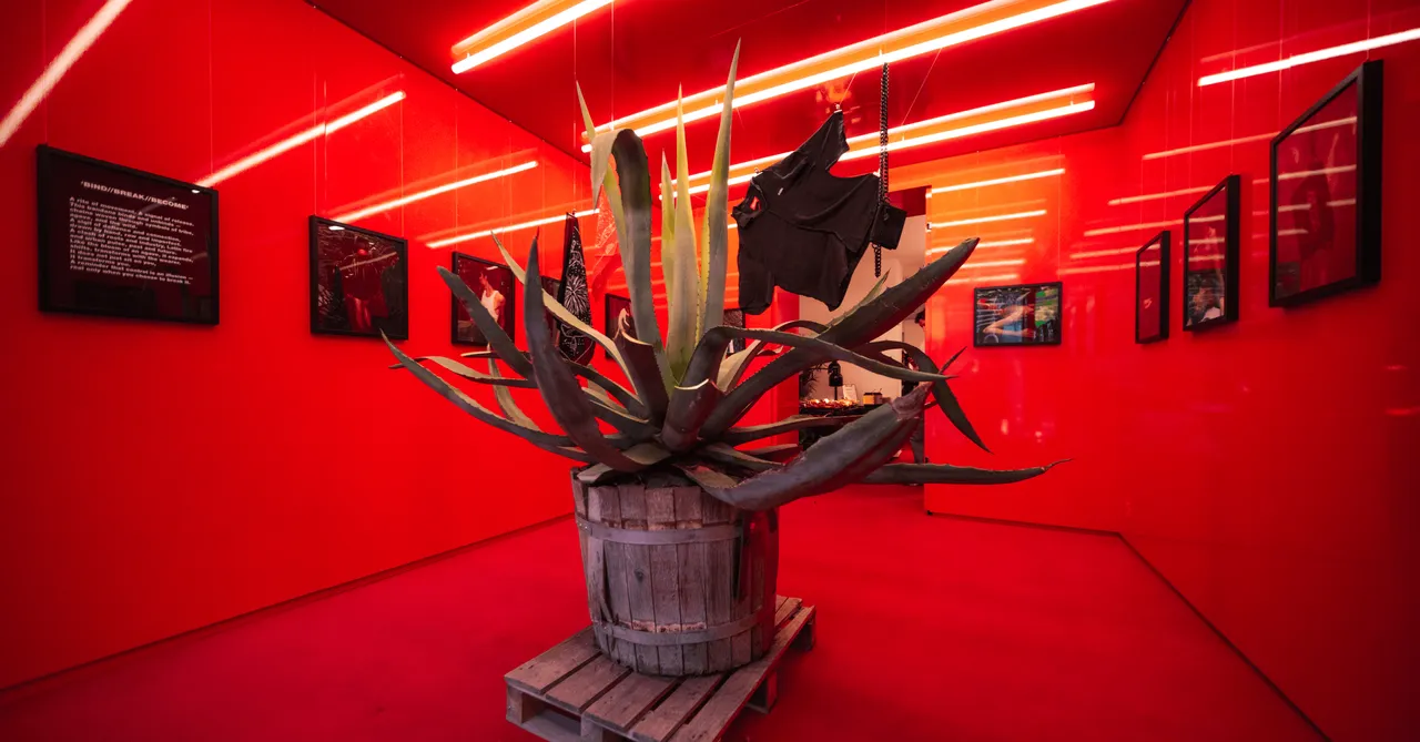 Image of Schach zu Dritt